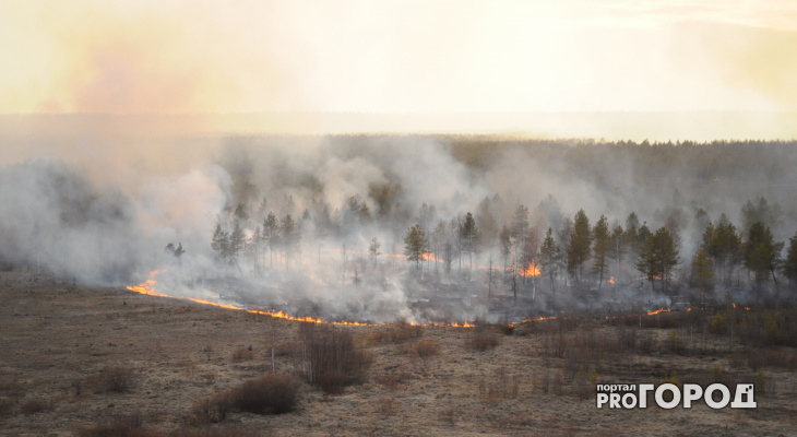В мае в 33 регионе сгорело почти два гектара леса