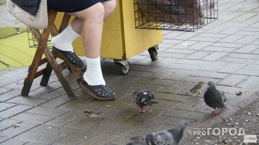 Во Владимирской области ожидаются заморозки до -2