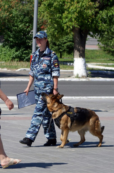 Служебная собака Сонг помогла полицейским найти воришку