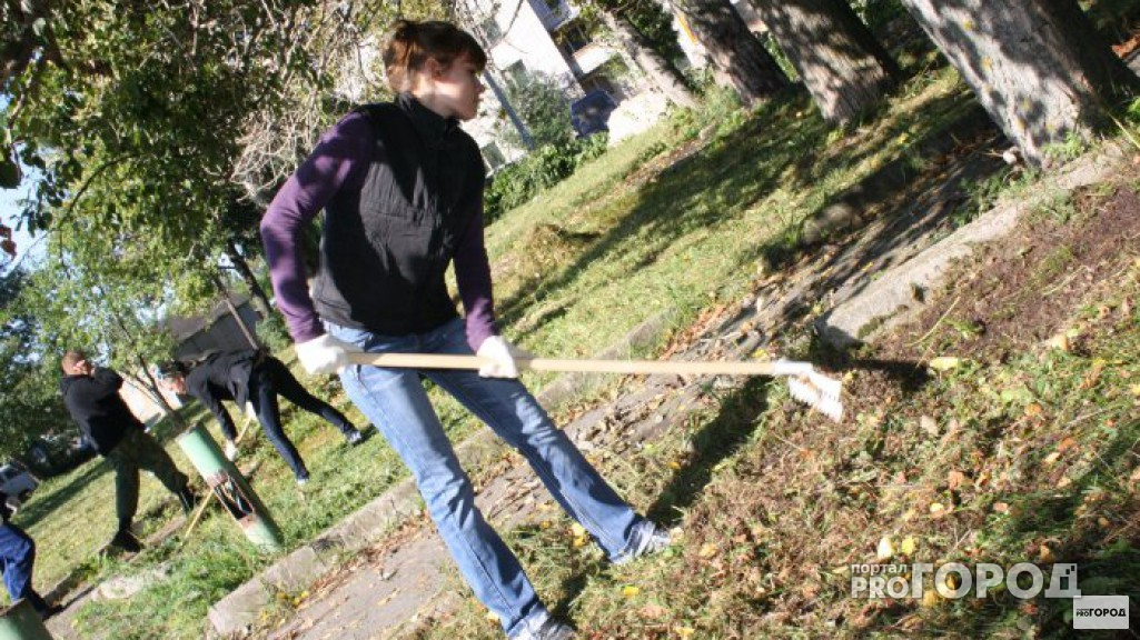 Подросткам Владимира предлагают работу операторов и дизайнеров