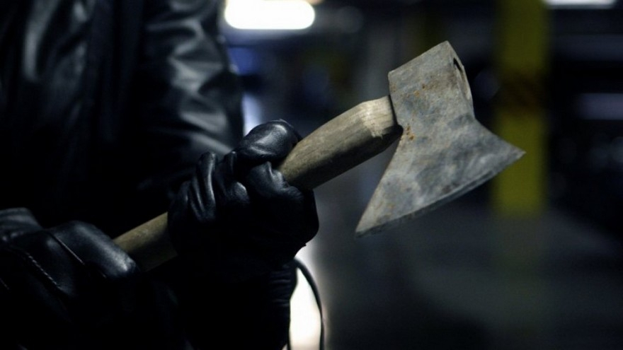 Кольчугинец нарубил дров на 600 тысяч рублей