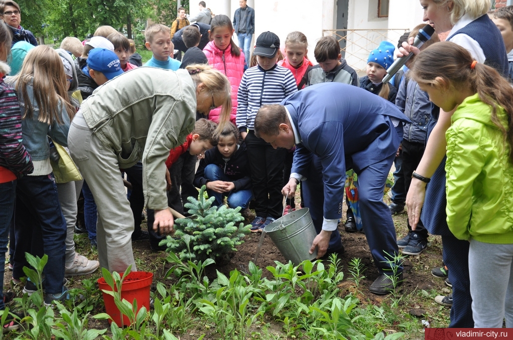 Во Владимире День эколога отметили посадкой деревьев