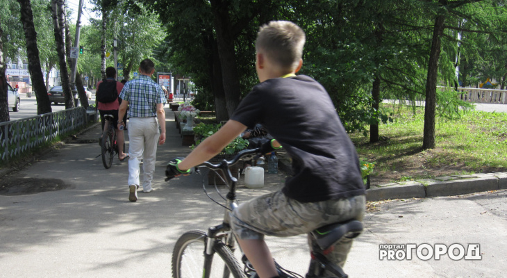В России на дорогах могут появиться «велосипедные зоны»‍