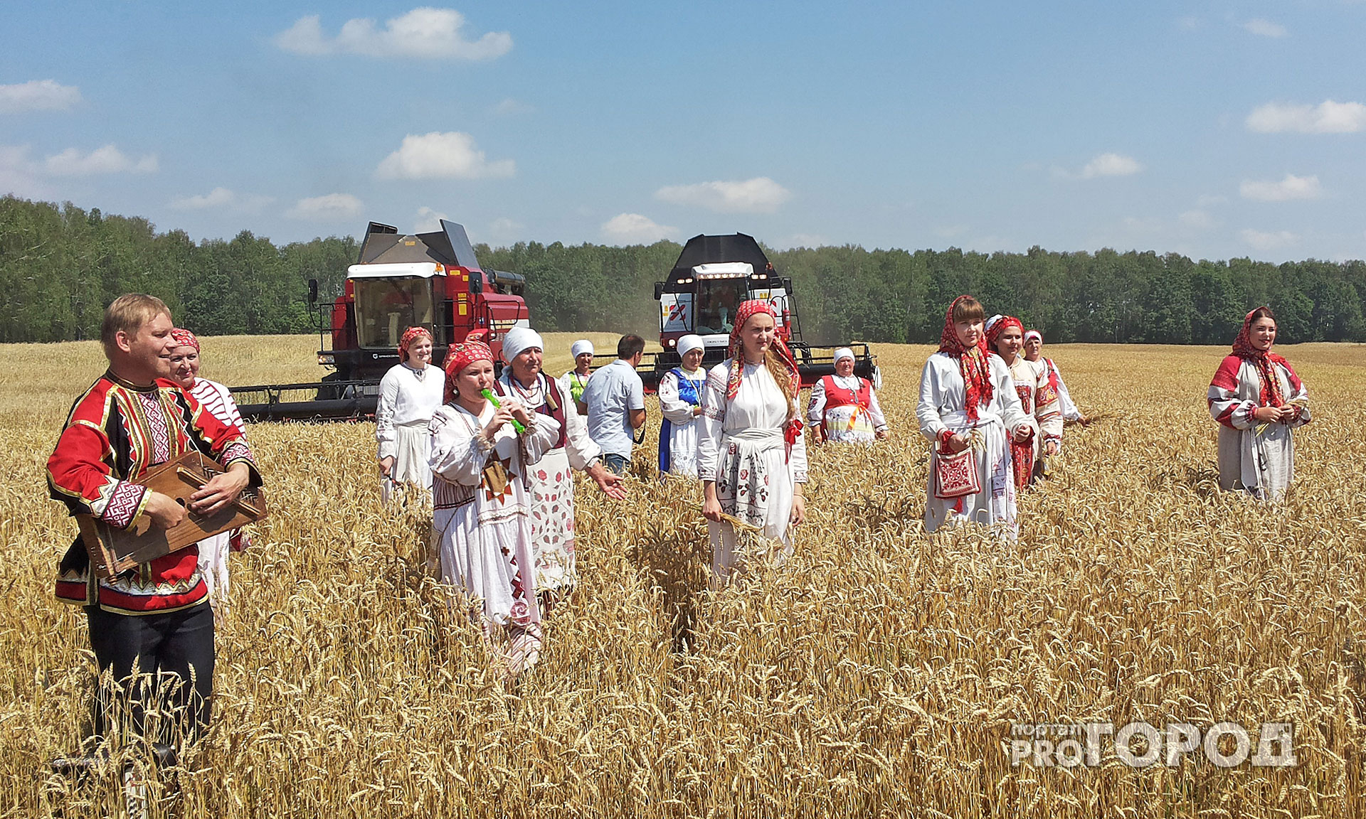 Судогодский район приглашает на «День поля»