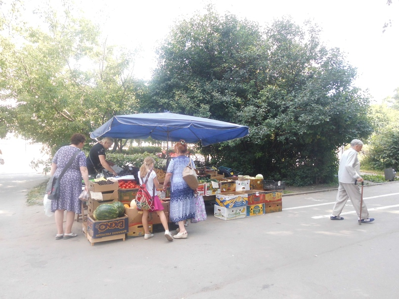 Владимирские чиновники навели страху на уличных торговцев