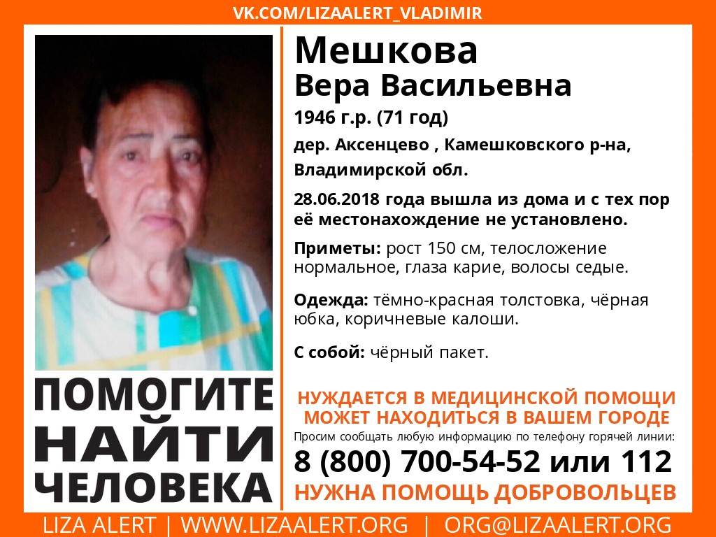 В Камешковском районе пропала без вести пенсионерка