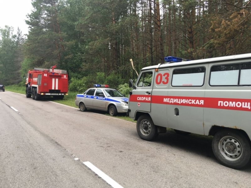 Во Владимирской области автомобиль развалился после вылета в кювет