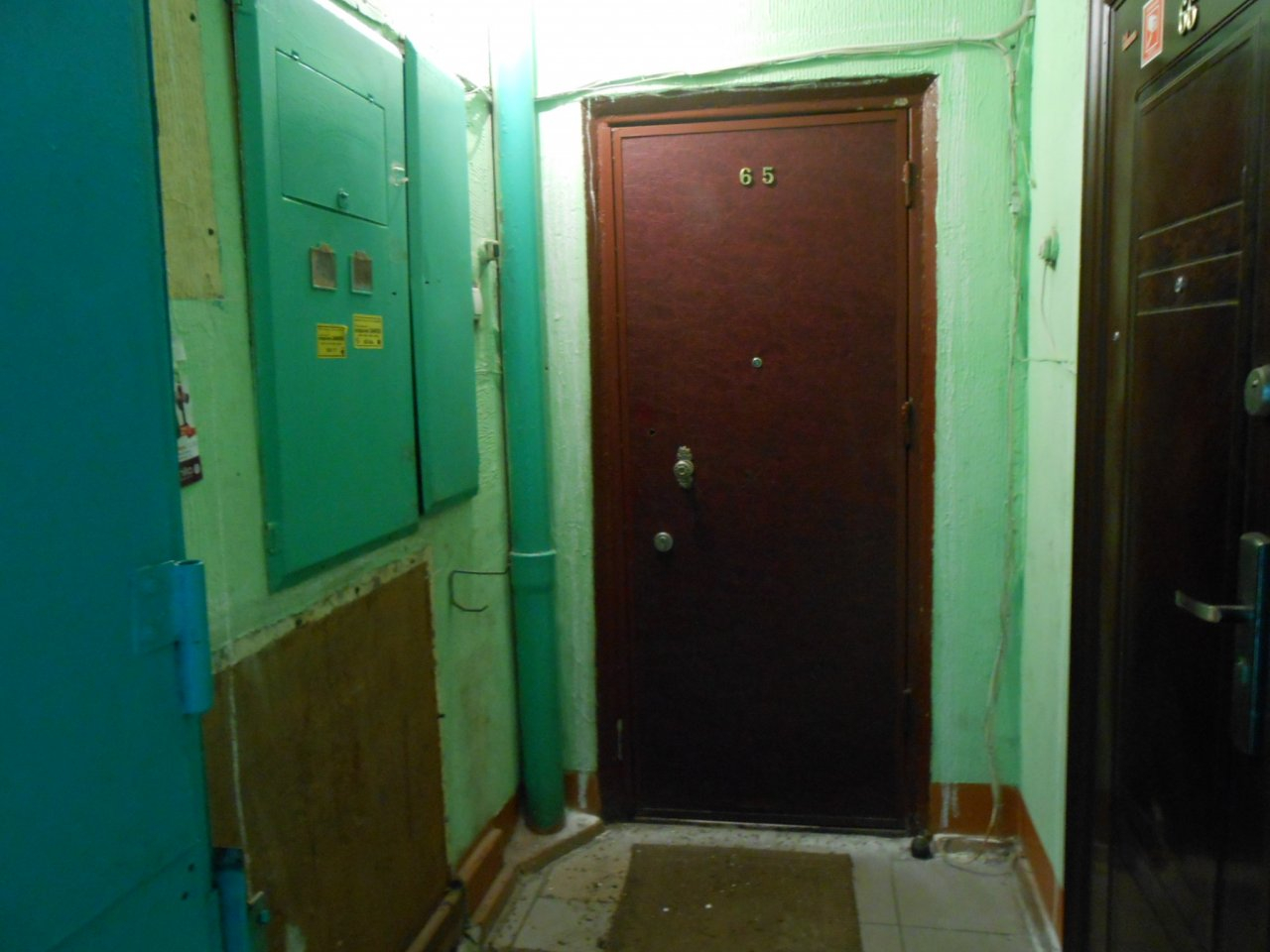 Эксперт дал совет о том, как владимирцам бороться с нечистоплотными соседями