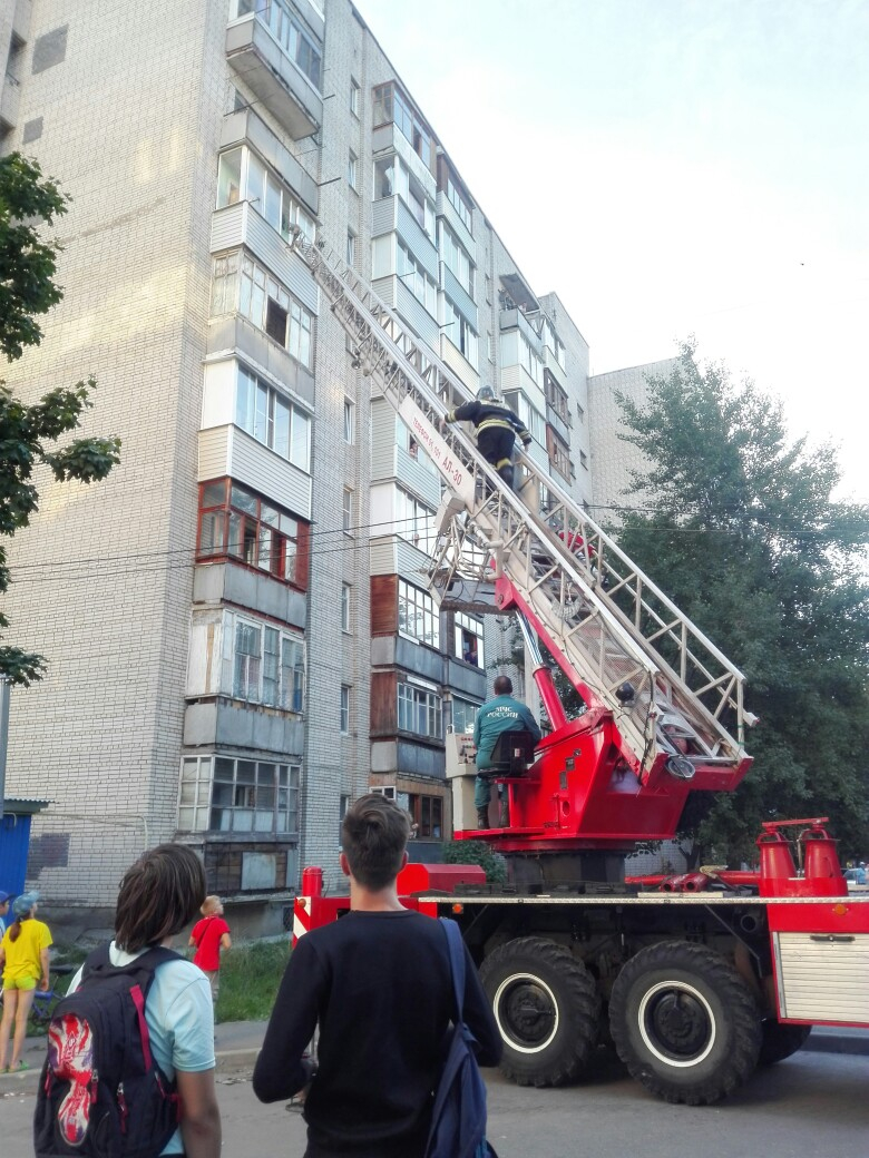 Владимирские спасатели не дали котенку выпасть с балкона  шестого этажа