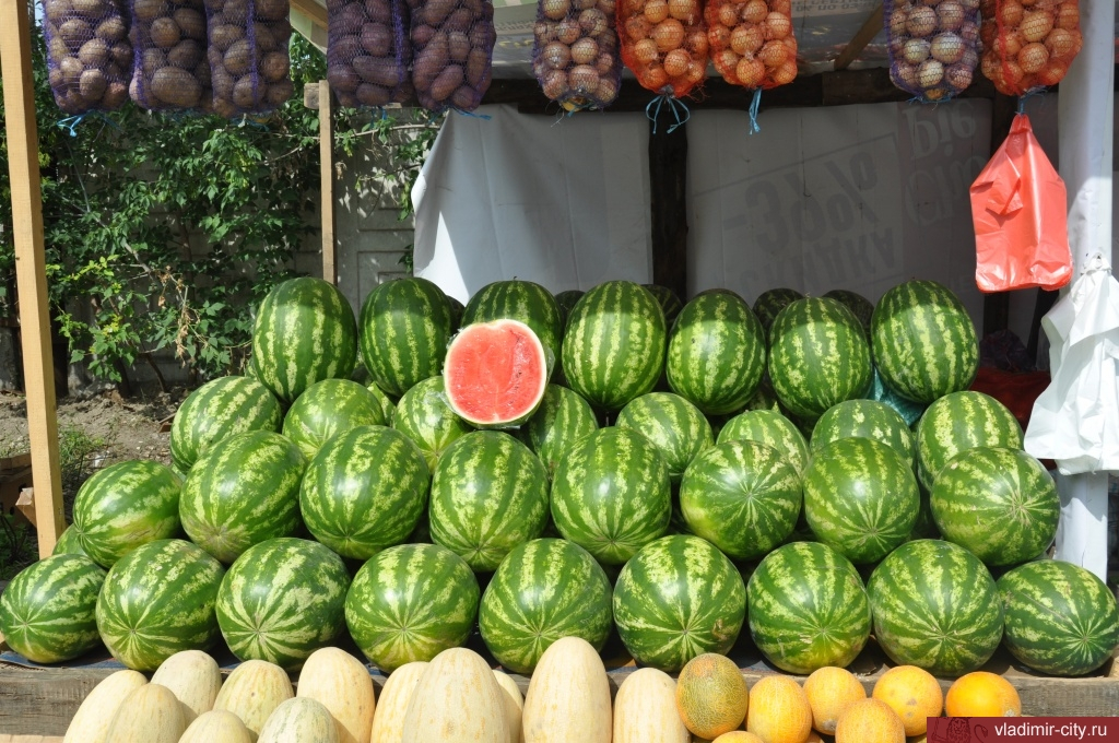 Во Владимире открылся новый плодово-овощной рынок