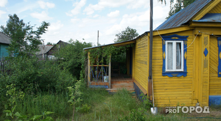 Соседские войны во Владимире: тень от дома мешает урожаю
