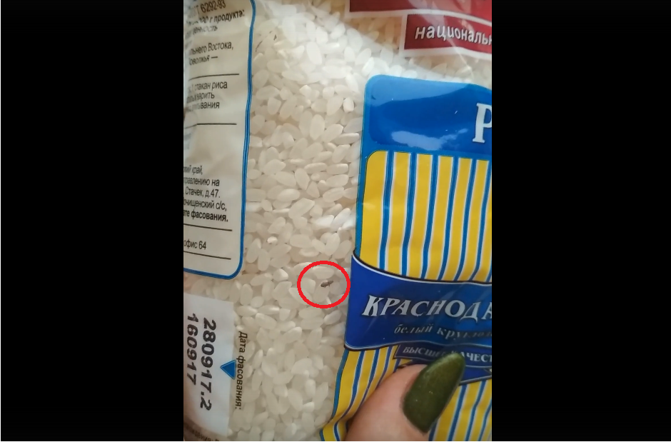 Жительница Владимира обнаружила в упаковке риса неприятную живность