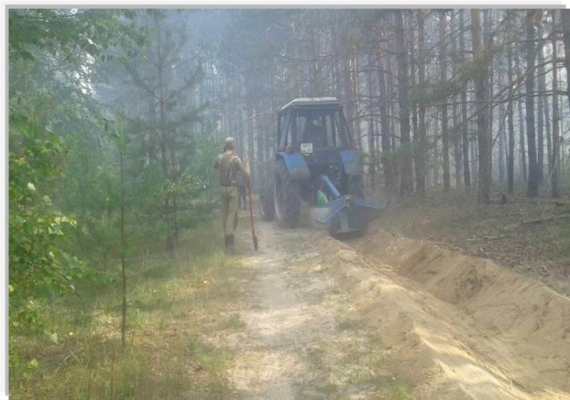 Под Гусь-Хрустальным сгорело пол гектара леса