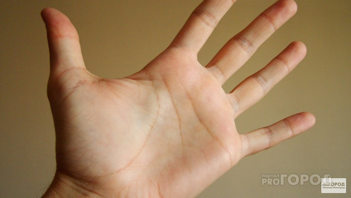 Вора из Киржача задержали по фрагменту ладони