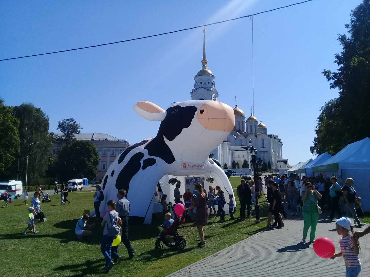 5 вещей, которые возмутили Владимирцев на День города