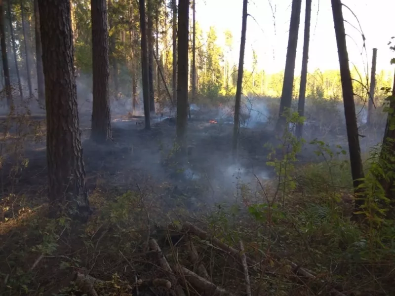 Фото к статье: Во Владимирской области продолжают гореть леса
