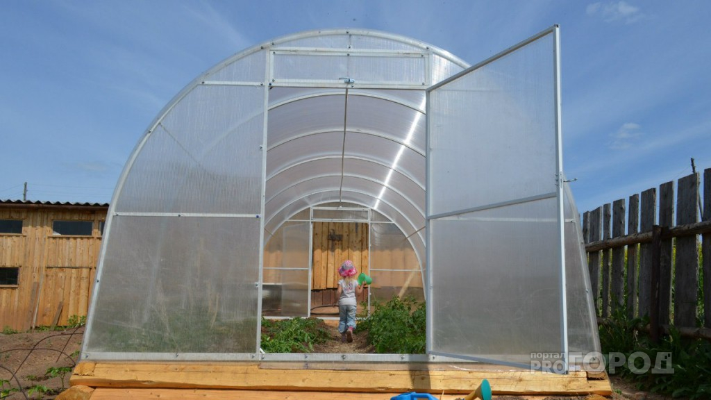 Почему грамотные садоводы ставят теплицы осенью?