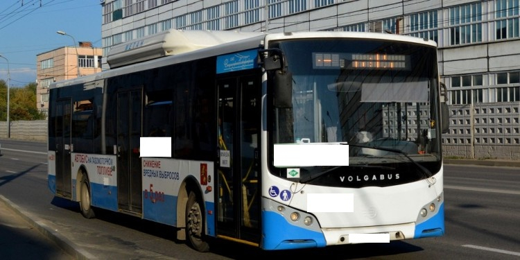 «Владимрпассажиртранс» отсудил у своего водителя деньги за сбитого пешехода