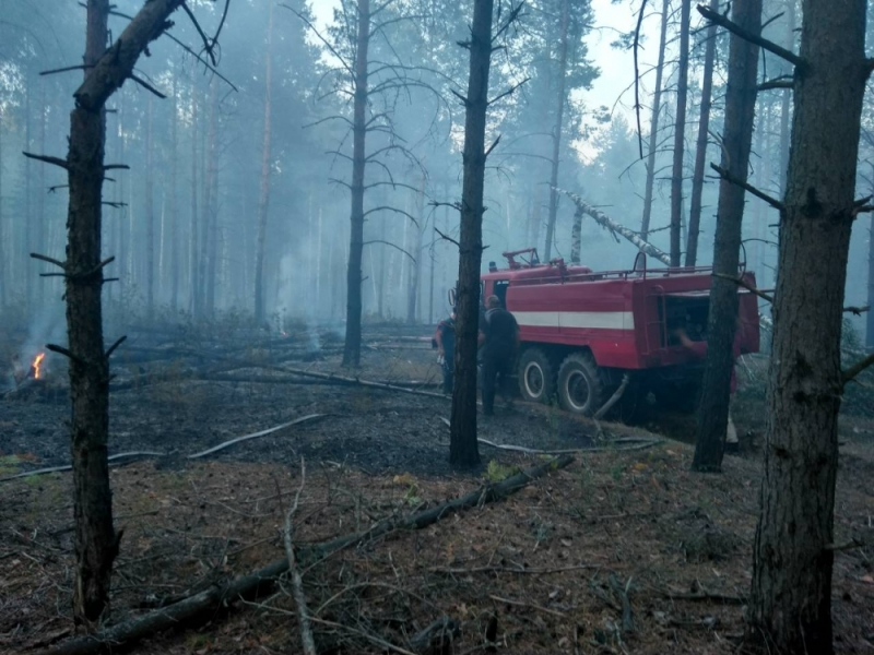 Во Владимирской области массово горят леса
