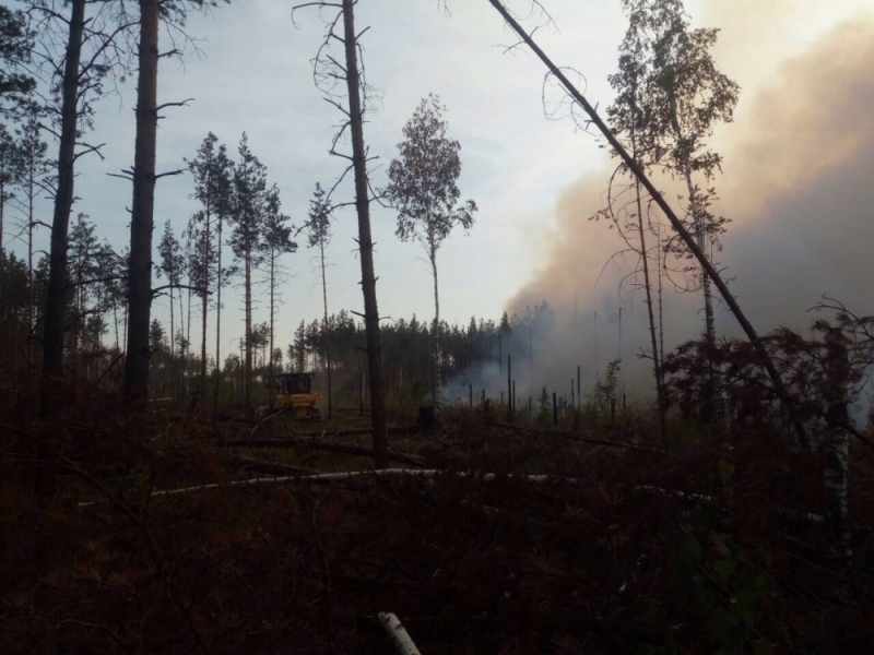 Еще 4 очага природных пожаров обнаружили в лесах 33 региона