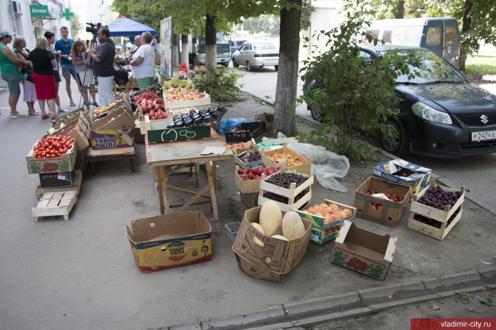Во Владимире прикрыли "лавочку" с незаконной продажей овощей и фруктов