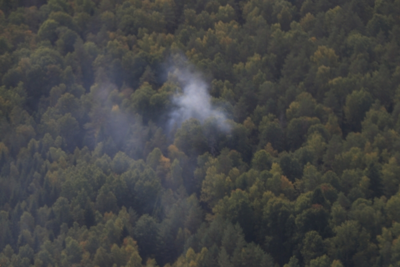 Во Владимирской области лесные пожары ищут с воздуха