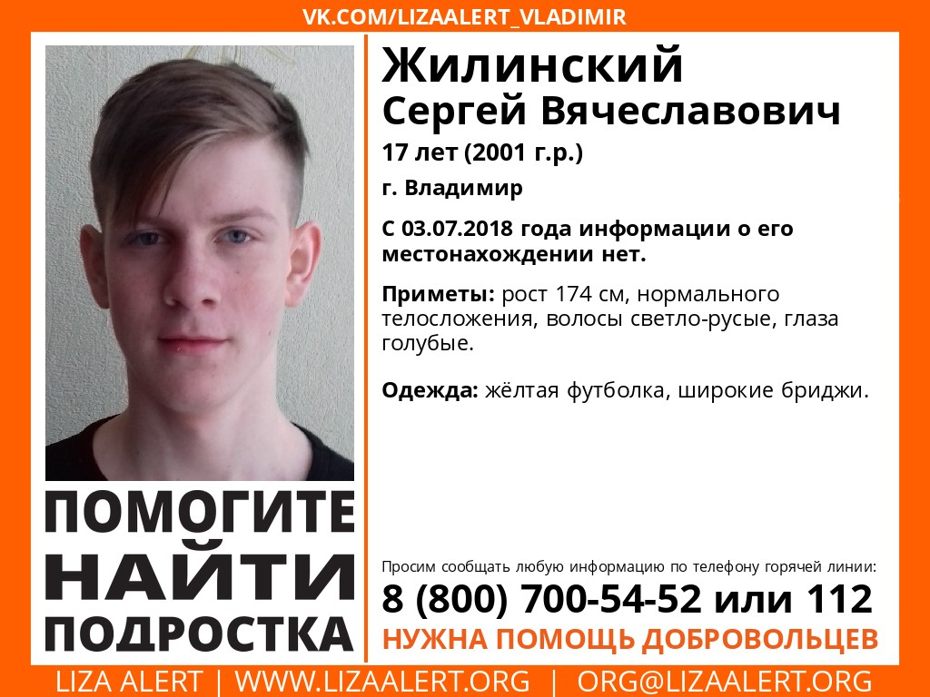 Во Владимире ищут пропавших подростка и мужчину