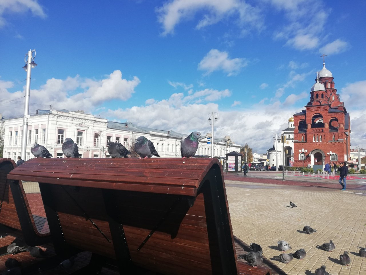 Горожанин: "Новые скамейки на Театральной площади постоянно украшены пометом"