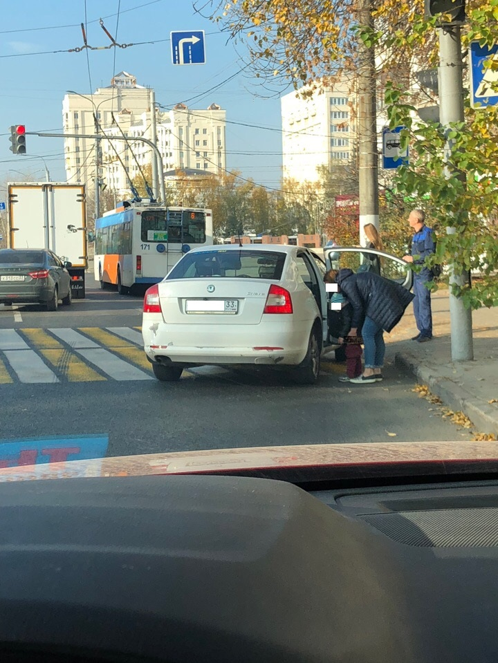 Во Владимире мать остановила авто на переходе, чтобы ребенок сходил в туалет