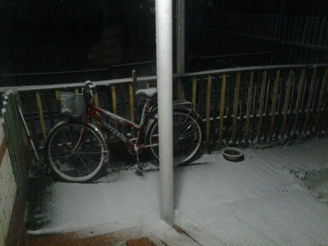 Первый снег во Владимире: жители массово делятся фотографиями