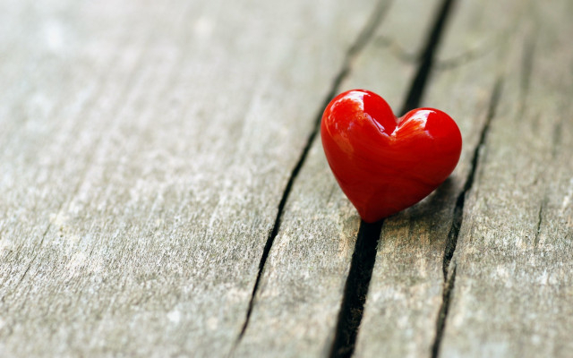 Эксперты измерили «Индекс любви» во Владимирской области