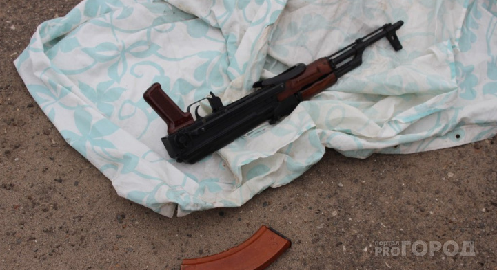 Целый арсенал оружия правоохранители изъяли у жителей Владимирский области