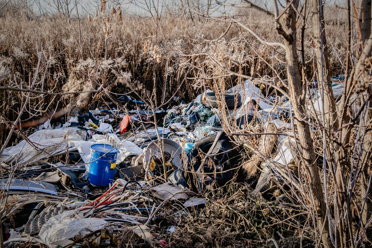 Владимирская область стала худшей в рейтинге по ликвидации мусорных свалок