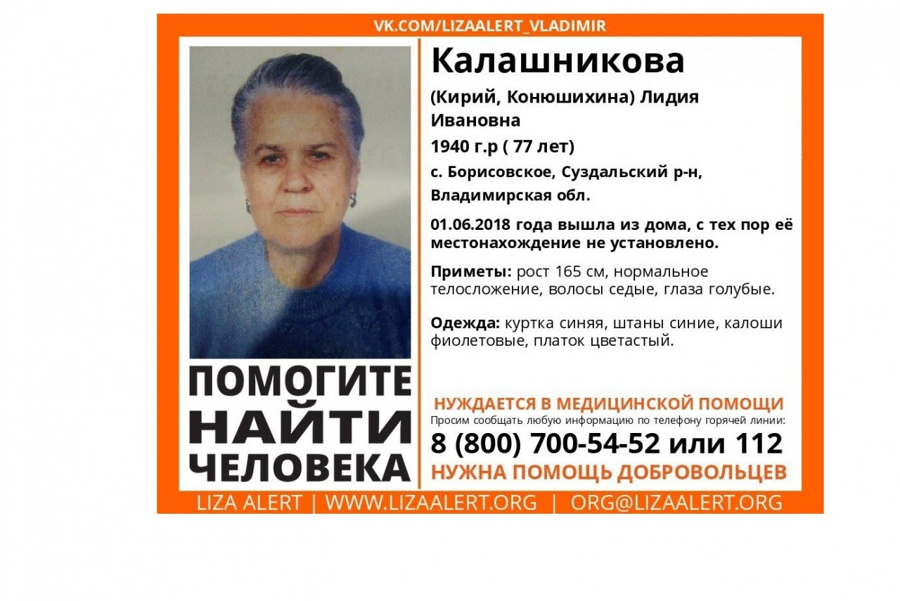 Владимирцев просят помочь в поисках пожилой женщины, пропавшей еще летом