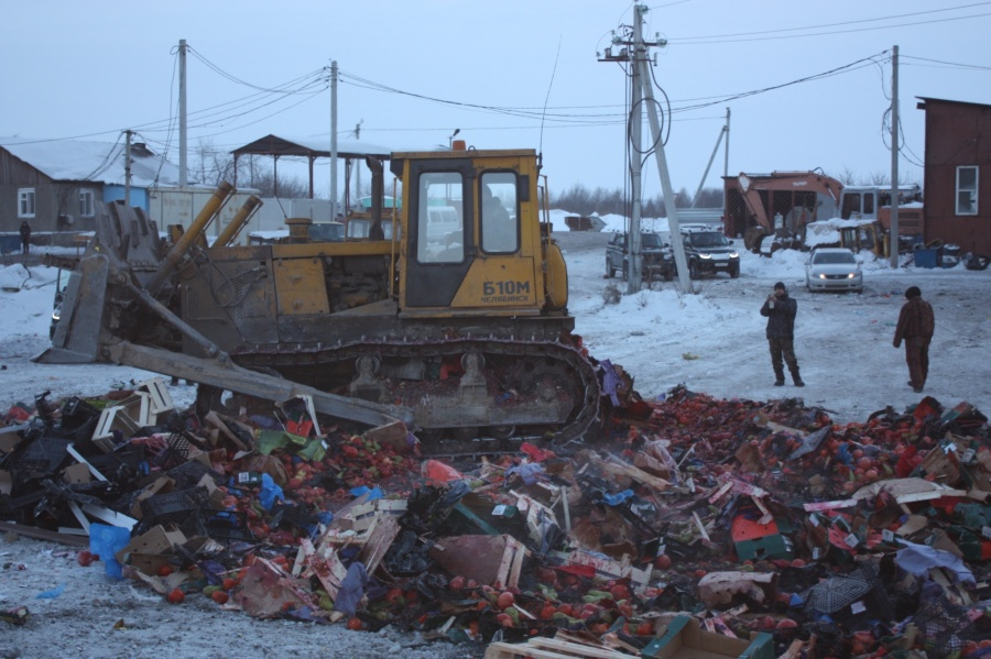 Битва с «санкционкой»: 400 кг хурмы пустили под бульдозер
