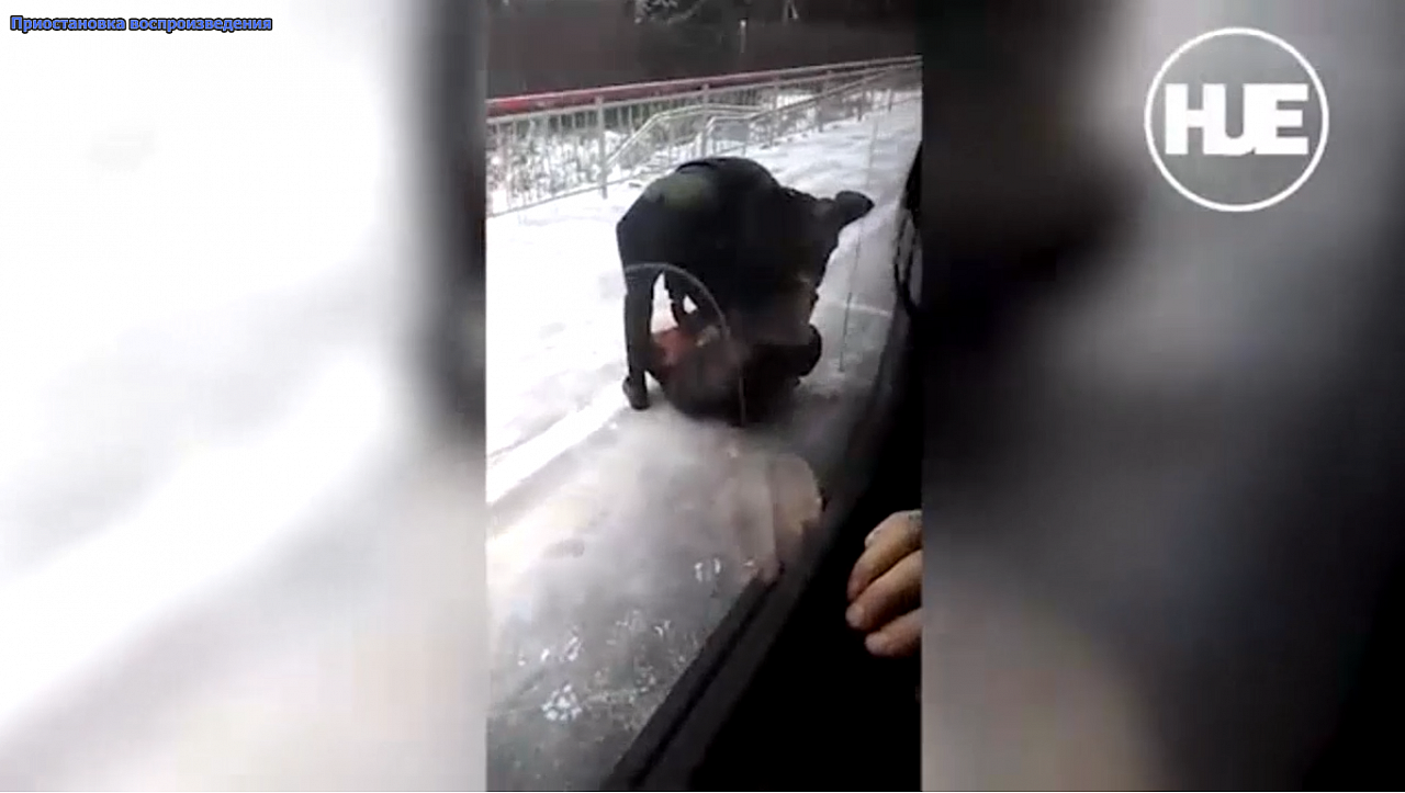 В электричке "Александров - Москва" охранник избил пассажира (видео)