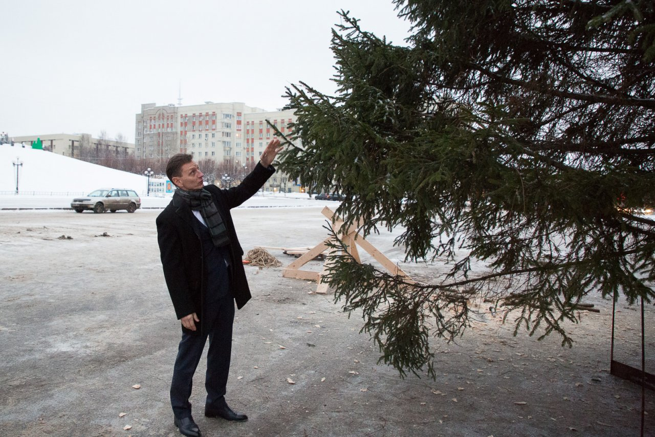 Как сэкономить на новогодней елке: лайфхак от губернатора Сипягина