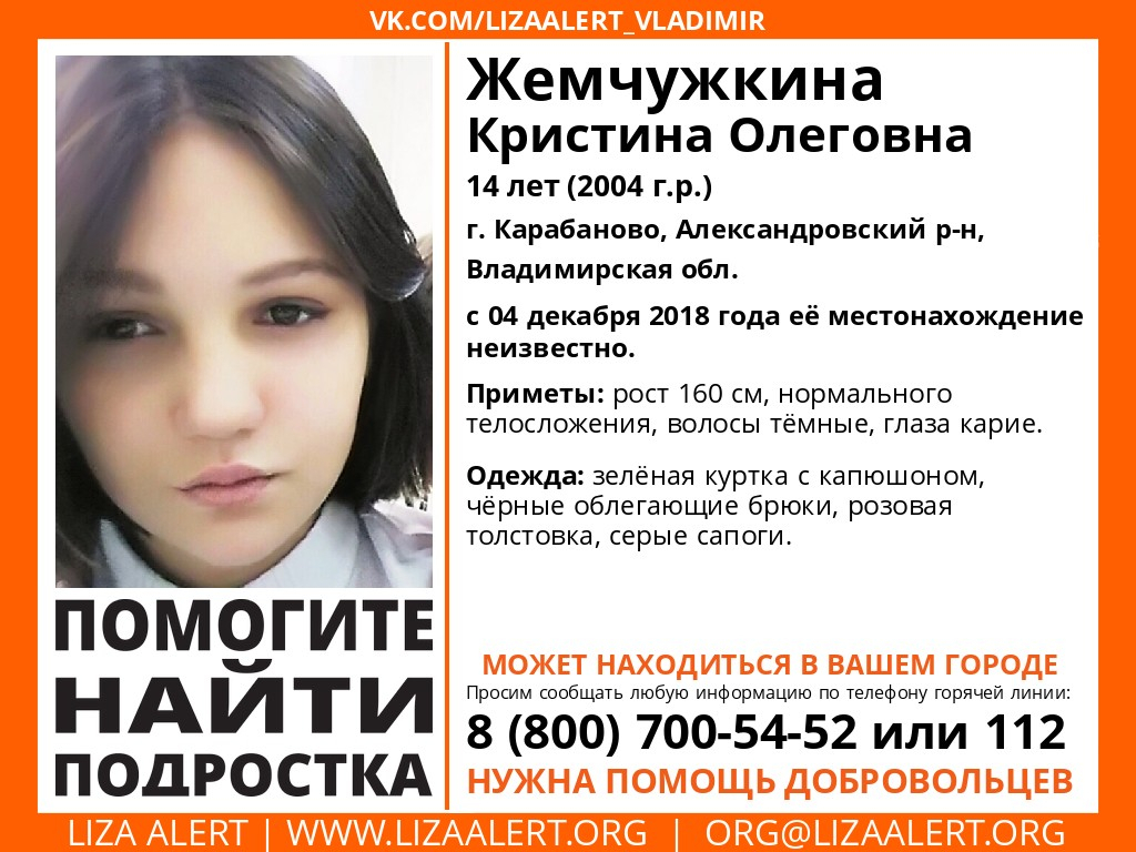 Во Владимирской области пропала 14-летняя девочка