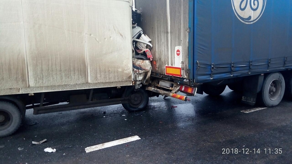 Погиб за рулем: на федеральной трассе во Владимирской области столкнулись две фуры