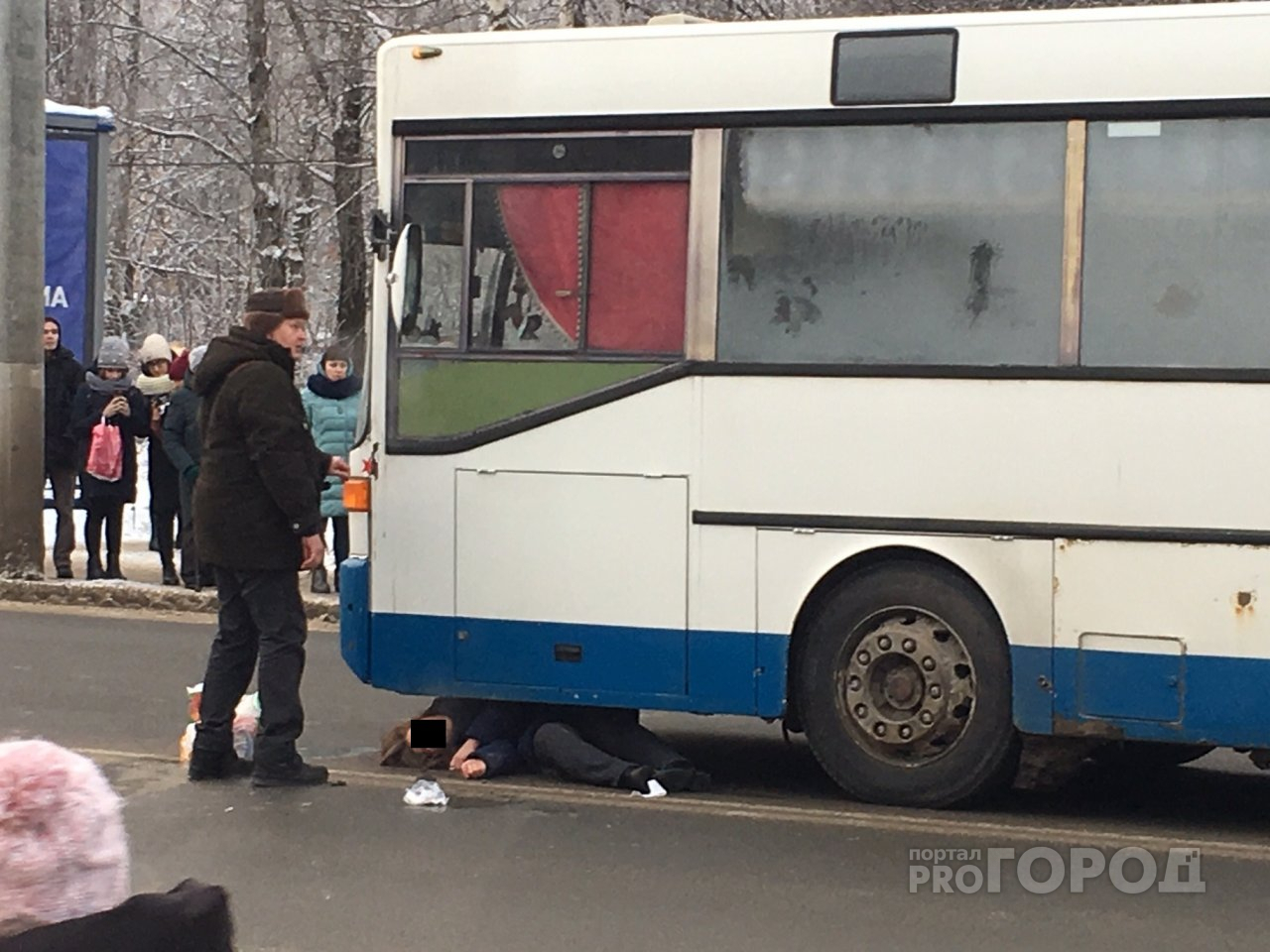 Во Владимире возле ВлГУ автобус сбил женщину на пешеходном переходе (фото, видео)