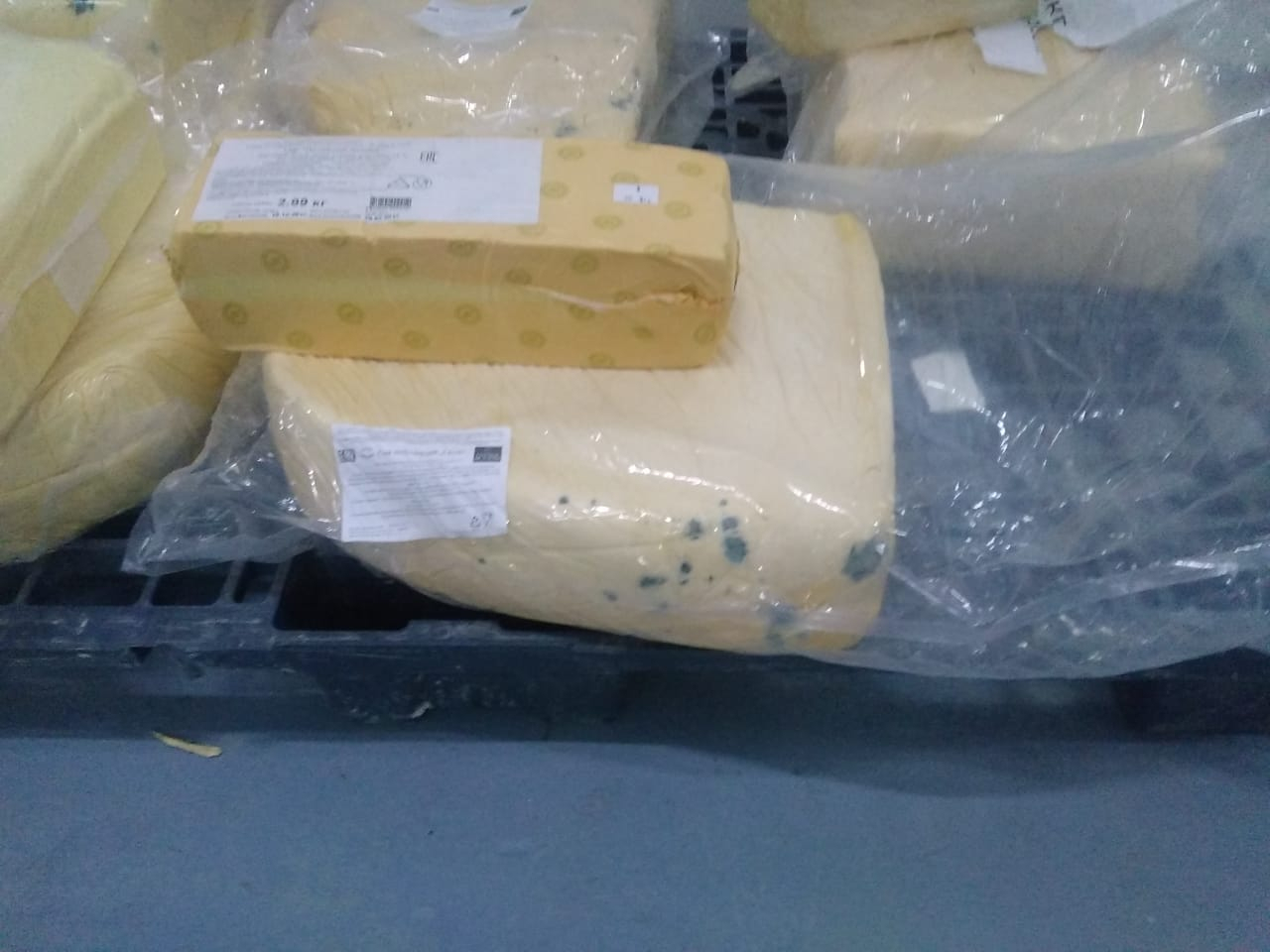 Сыр с кишечной палочкой может попасть на прилавки магазинов Владимира