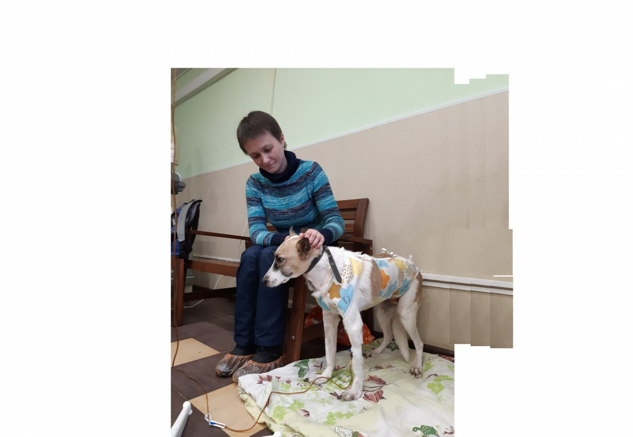 Горожанка рассказала трогательную историю выздоровления своей собаки