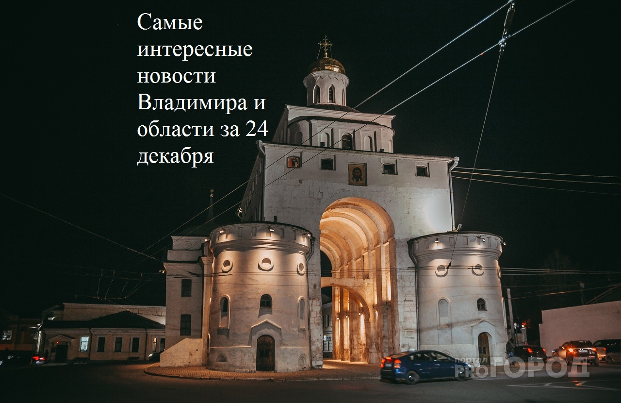 Владимир за день: налог на животных, пропавшая девушка и авария с пассажирским автобусом
