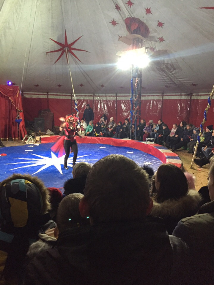 Во Владимирском цирке рухнул сектор скамеек со зрителями