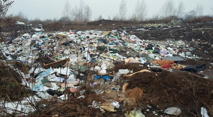 В Госдуме предложили увеличить штрафы за незаконную свалку мусора