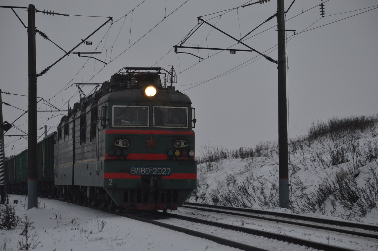 Владимир Сипягин оставил возраст льготного проезда на поездах прежним