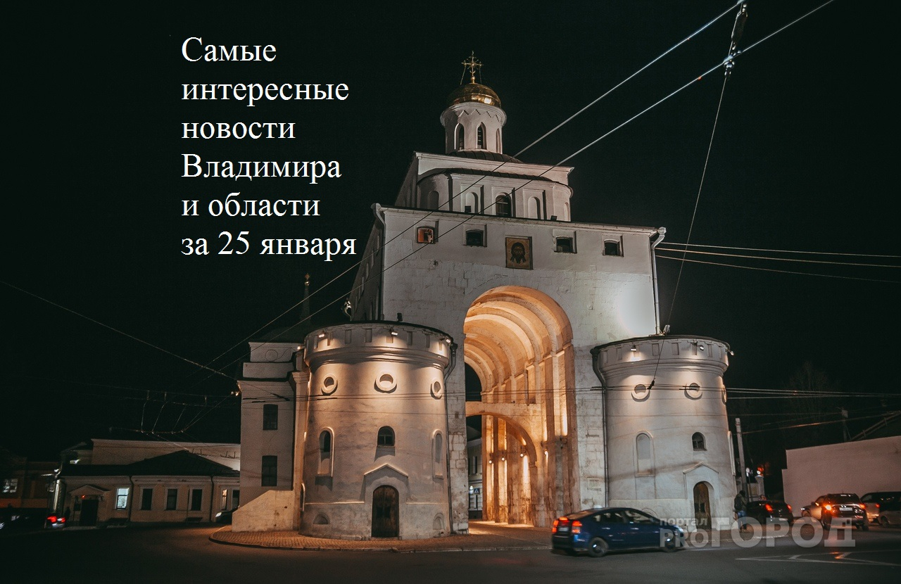 Владимир за день: бешеная лиса, авария с автобусом и приговор для горе-матери
