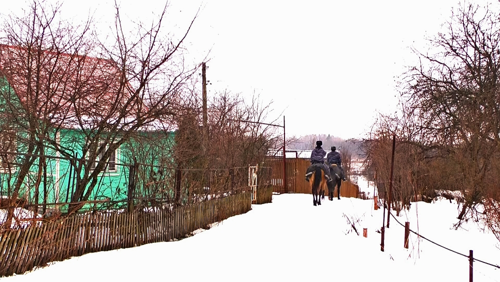 Фото к статье: Верхом на лошади: полиция с поличным поймала банду наркобарыг во Владимире (Видео)