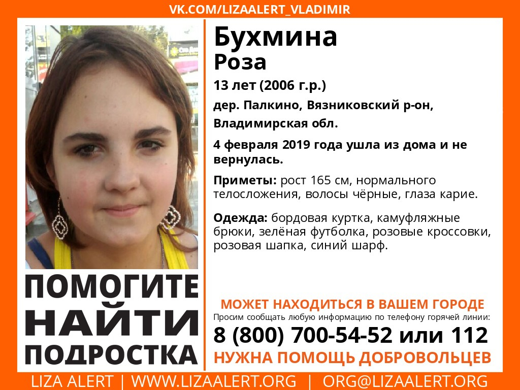 Владимирцев просят помощи в поисках 13-летней девочки, ушедшей из дома