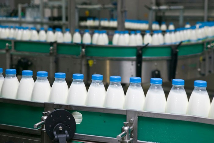 Молочный комбинат под Вязниками закрыли из-за жуткой антисанитарии